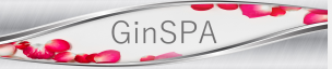 GinSPA