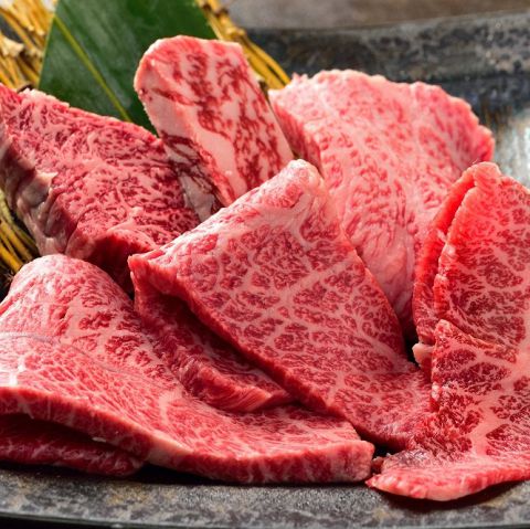 焼肉-肉縁-新宿歌舞伎町店