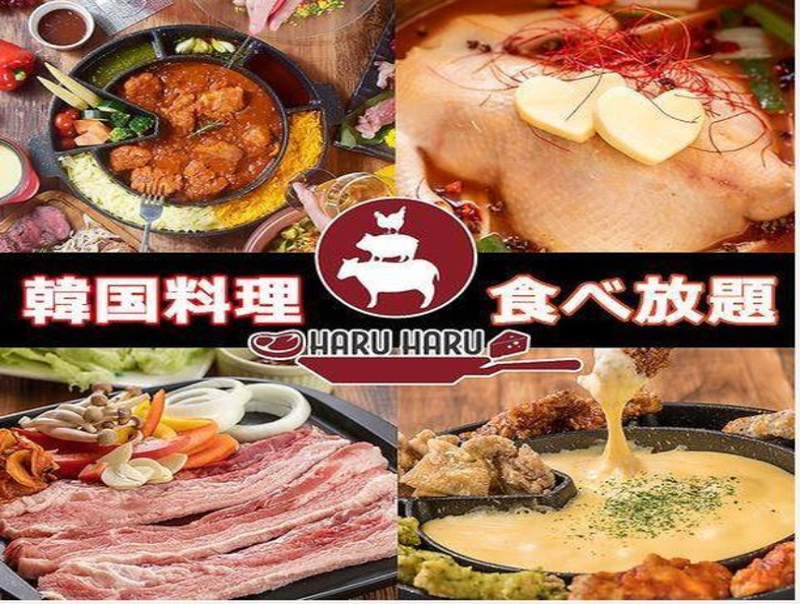 肉×チーズ×韓国料理 個室ダイニング Haru Haru 名鉄岐阜駅前