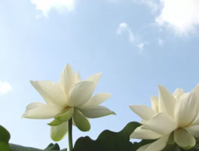 株式会社ワンライフ