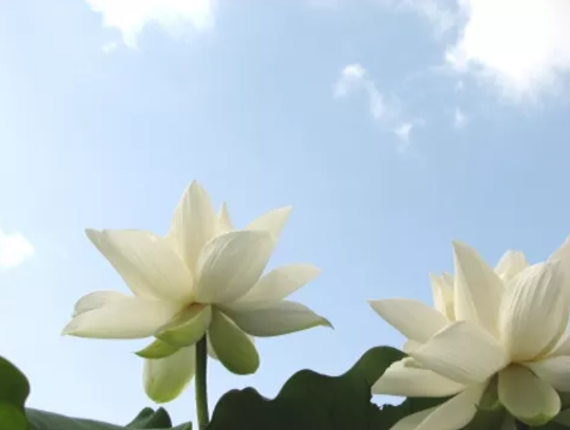 株式会社ワンライフ