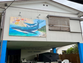 オアシス和田浦