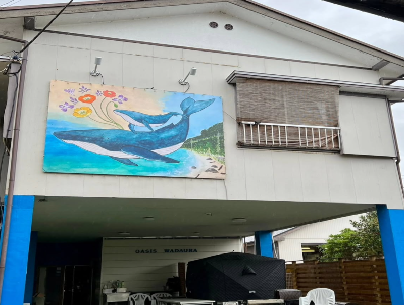 オアシス和田浦